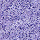 Miyuki 11/0 Delica Beads, Opaque Agate Blue