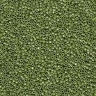 Miyuki 11/0 Delica Beads, Opaque Cactus Luster